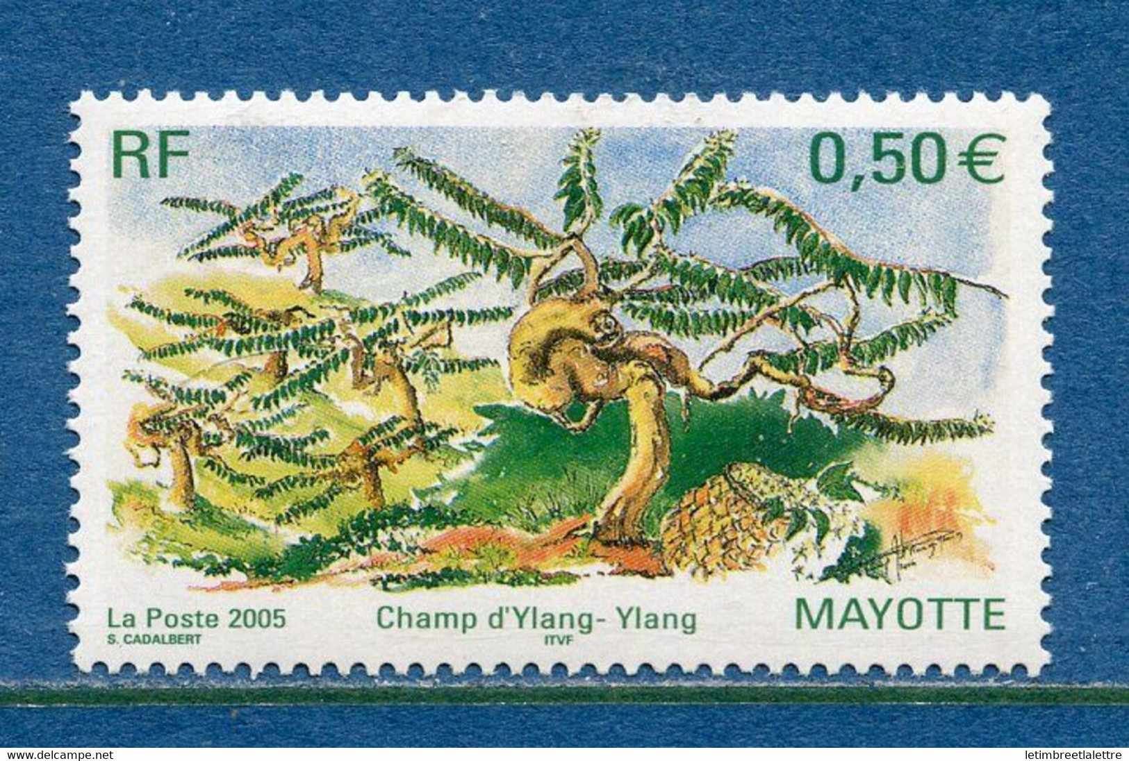 Mayotte - YT N° 170 ** - Neuf Sans Charnière - 2005 - Nuovi