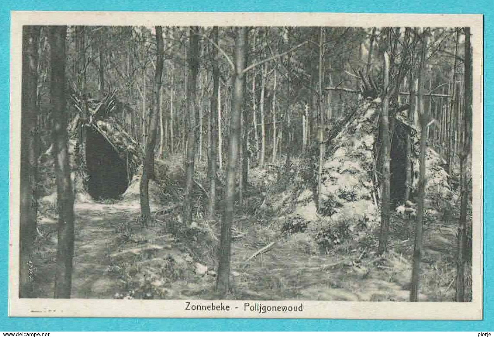* Zonnebeke (bij Ieper - West Vlaanderen) * (Uitgever A. Herman - Hoet) Poligonewoud, Polygoonbos, Den Doel, Old - Zonnebeke