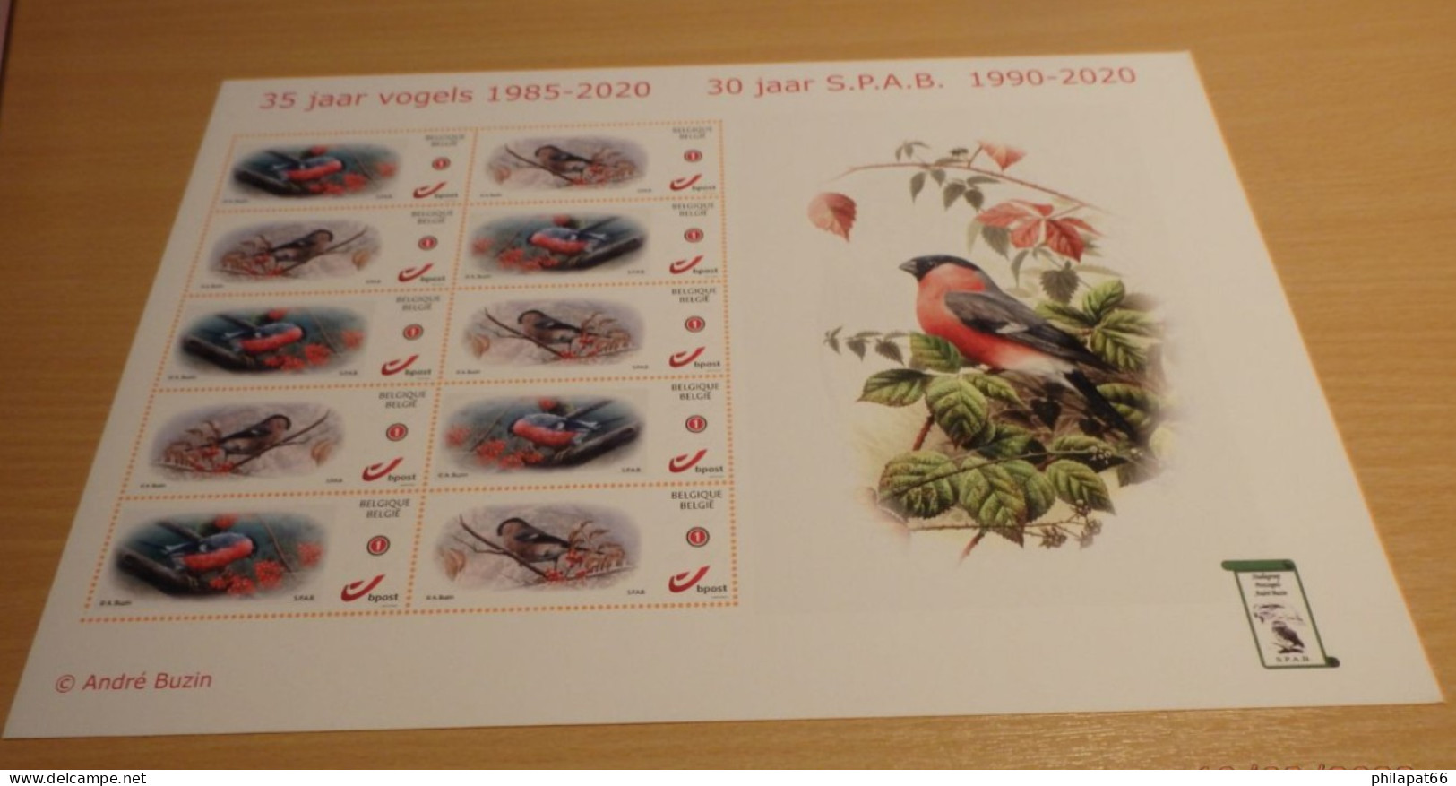 Vel Mystamp 2020 - 1985-.. Vogels (Buzin)