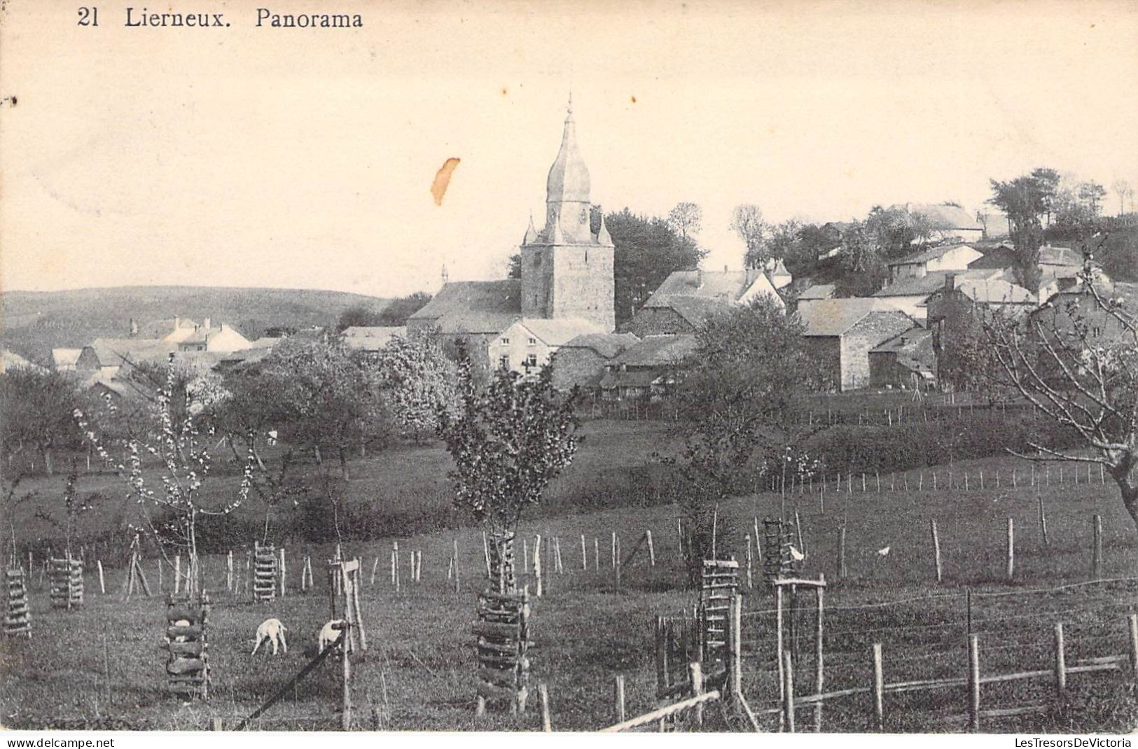 Belgique - Lierneux - Panorama - Edit. E. Desaix - Clocher - Eglise - Carte Postale Ancienne - Verviers