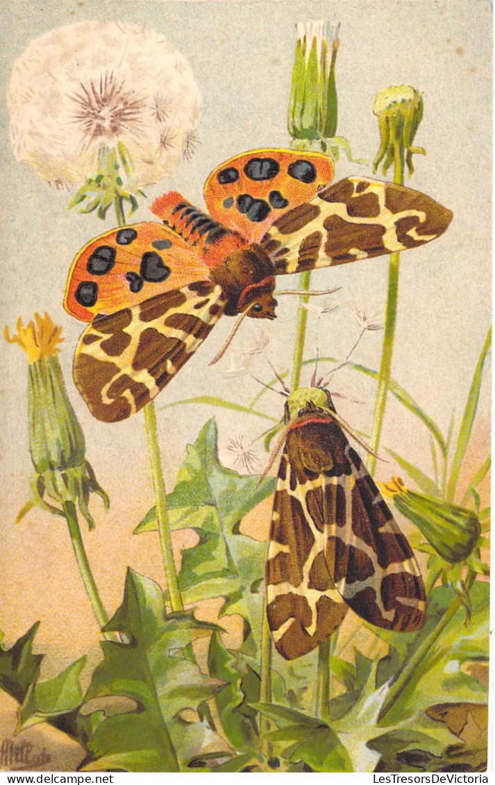 Animaux - Papillon - L'écaille Marte (chelonia Caja) - Marque L.E. - Colorisé - Carte Postale Ancienne - Papillons