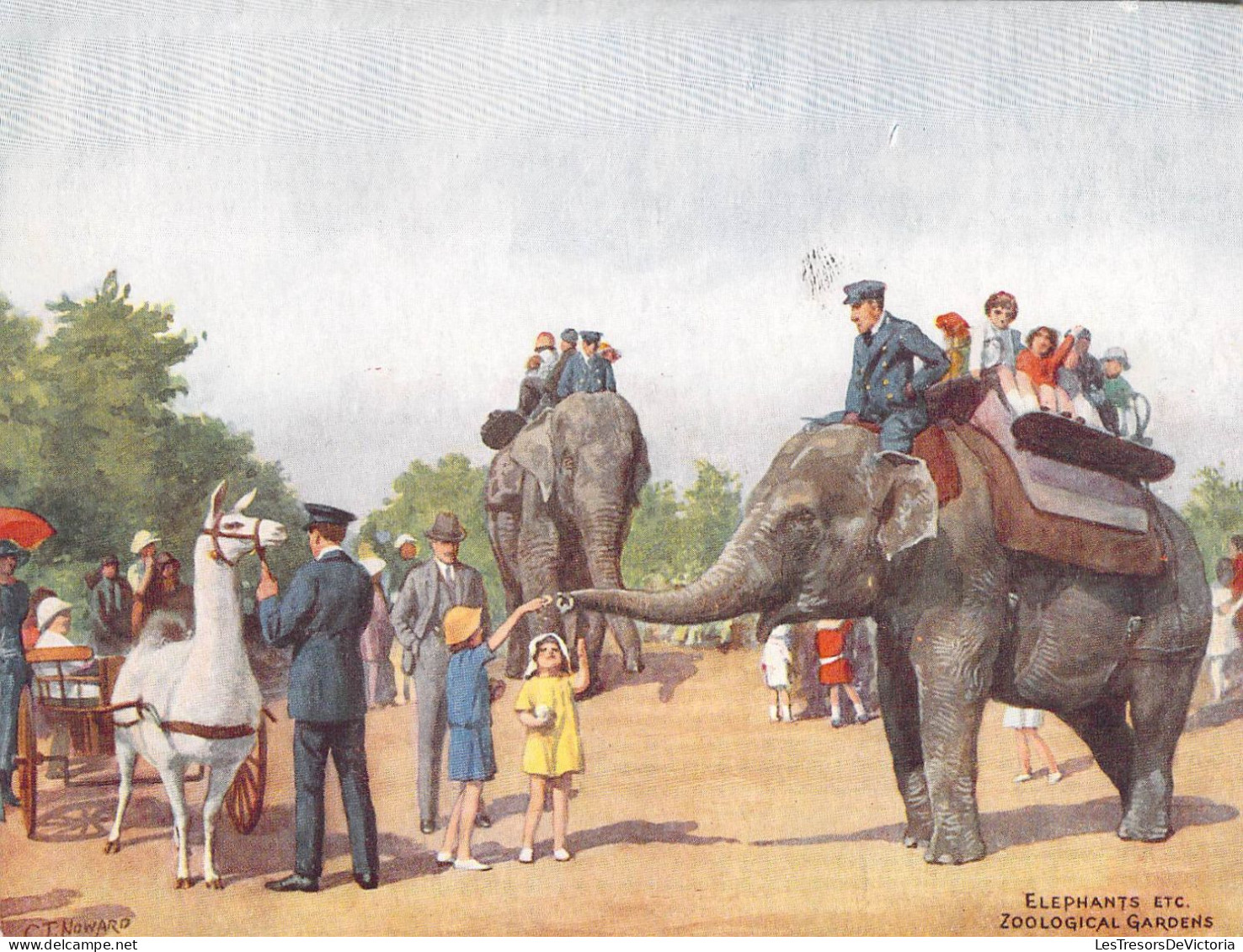 Animaux - Elephants  Etc. Zoological Gardens - Illustrateur C.T. Howard - Edit. J. Salmon - Carte Postale Ancienne - Elefanten