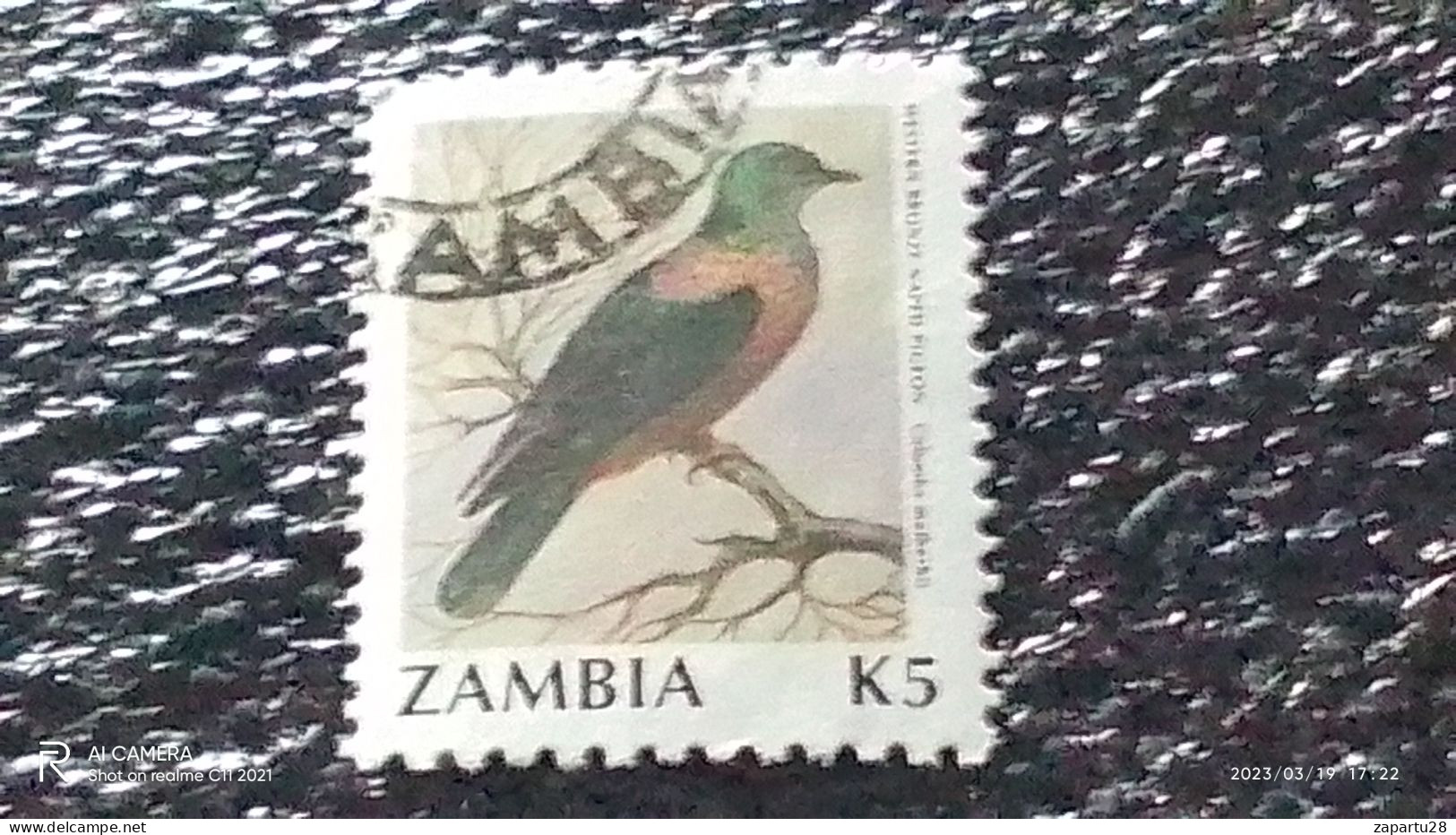 ZAMBİYA-  1991     5K  BİRDS   USED - Usati