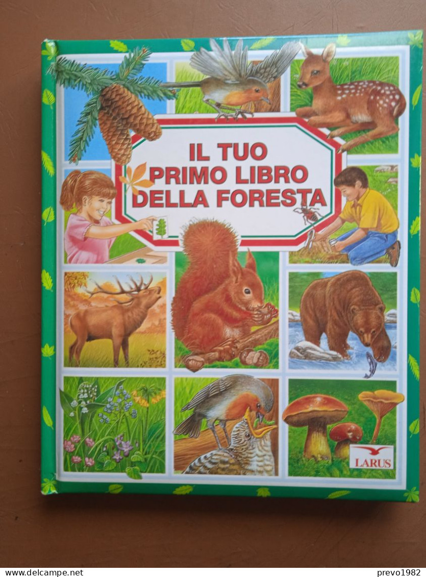 Il Tuo Primo Libro Della Foresta - Ed. Larus - Niños