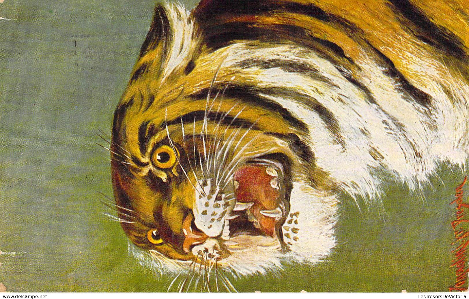 Animaux - Tigre - Illustrateur - Peluba  - Carte Postale Ancienne - Tigers