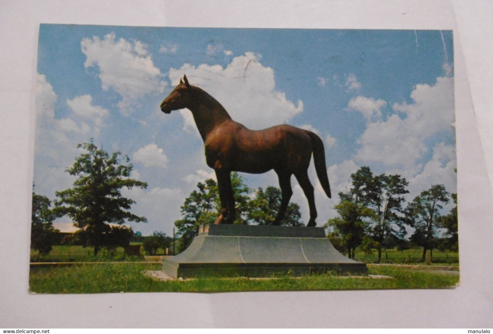 Man O'war - His Home Near Lexington - Kentucky - Lexington