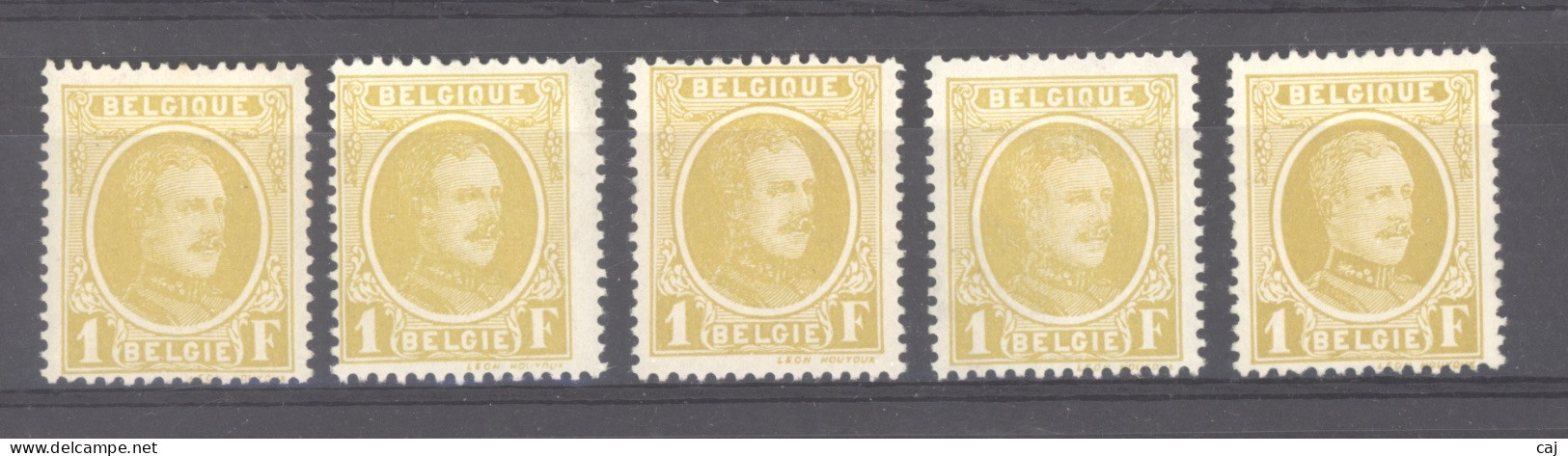 BE 0454  -  Belgique  :  COB 205  *    5 Teintes - 1922-1927 Houyoux
