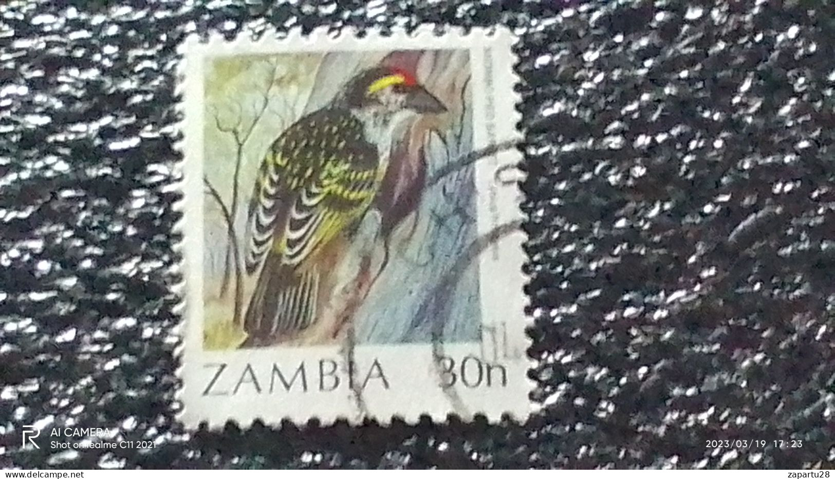ZAMBİYA-  1987     30N  BİRDS   USED - Usados