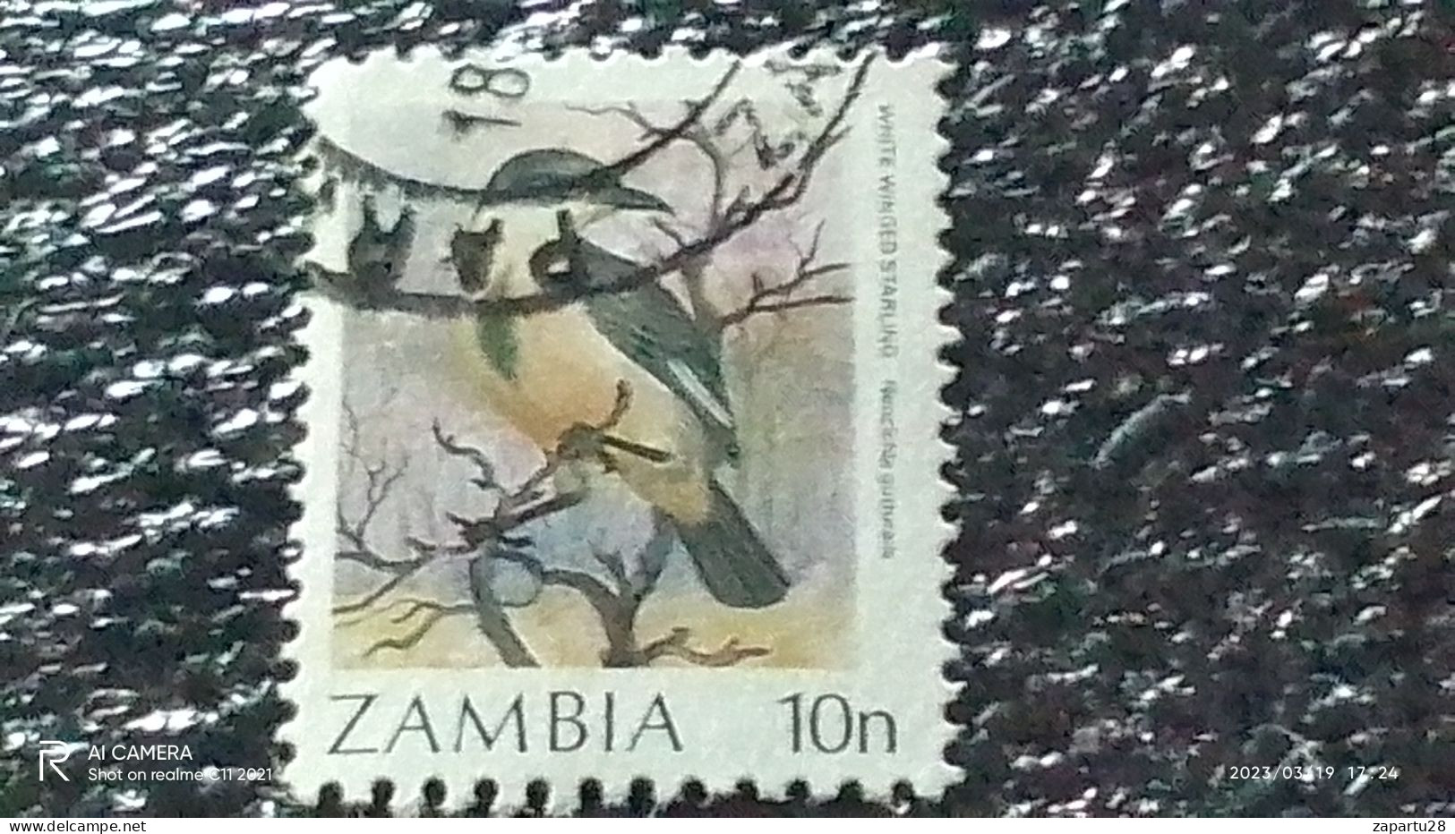 ZAMBİYA-  1987     10N  BİRDS   USED - Oblitérés