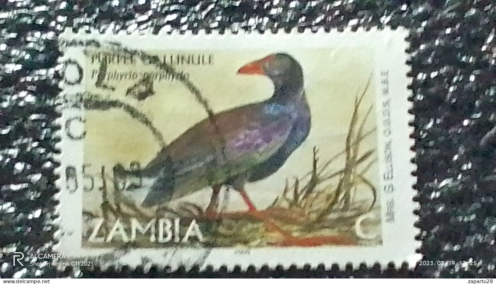 ZAMBİYA-  2001 -    -C-  BİRDS   USED - Usati