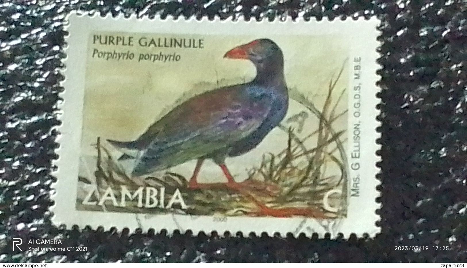 ZAMBİYA-  2001 -    -C-  BİRDS   USED - Used Stamps