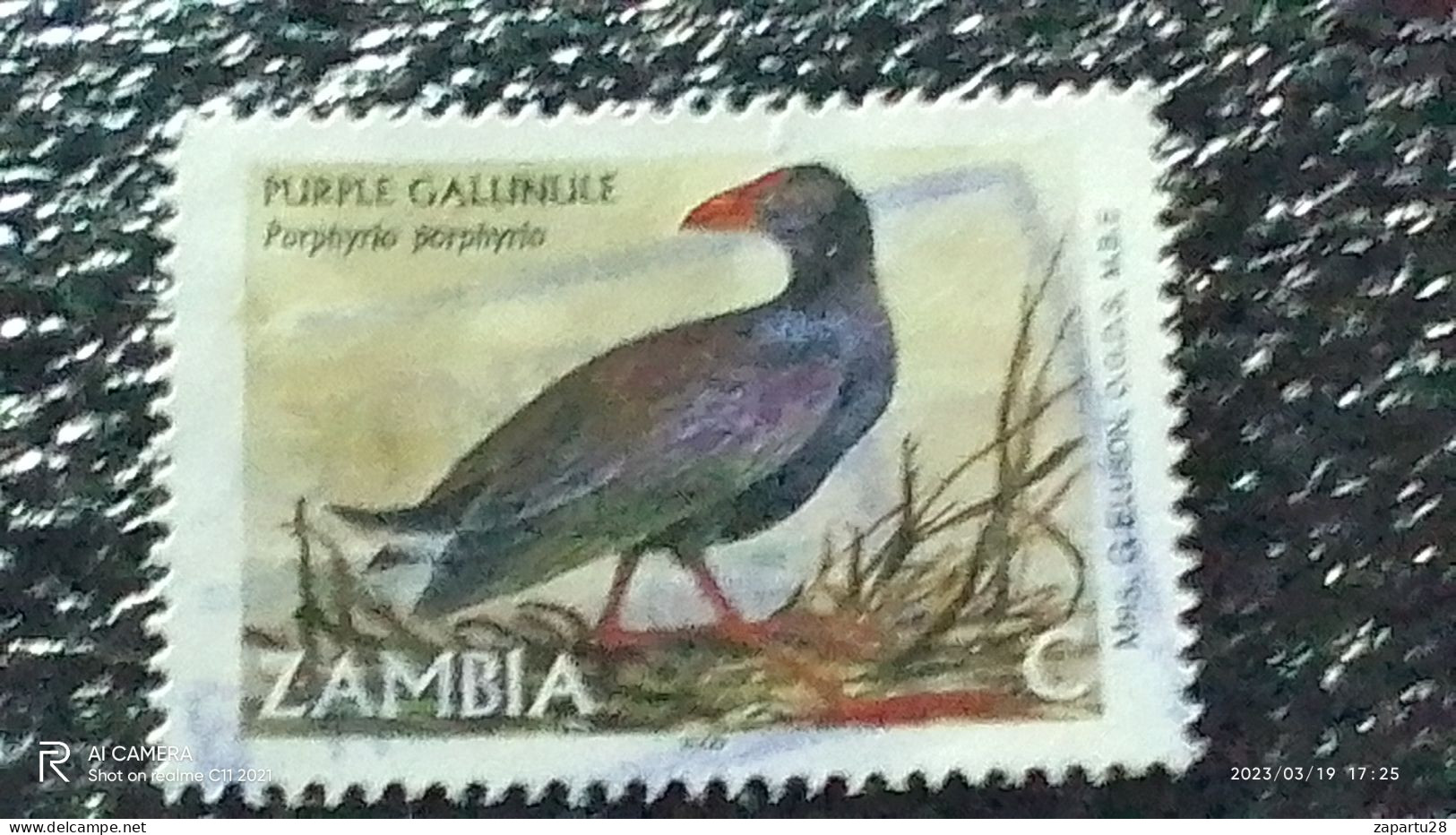 ZAMBİYA-  2001 -    -C-  BİRDS   USED - Used Stamps