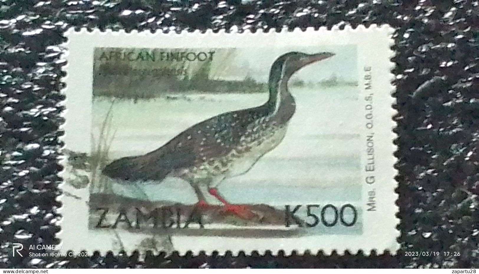 ZAMBİYA-  -   500K    BİRDS   USED - Used Stamps