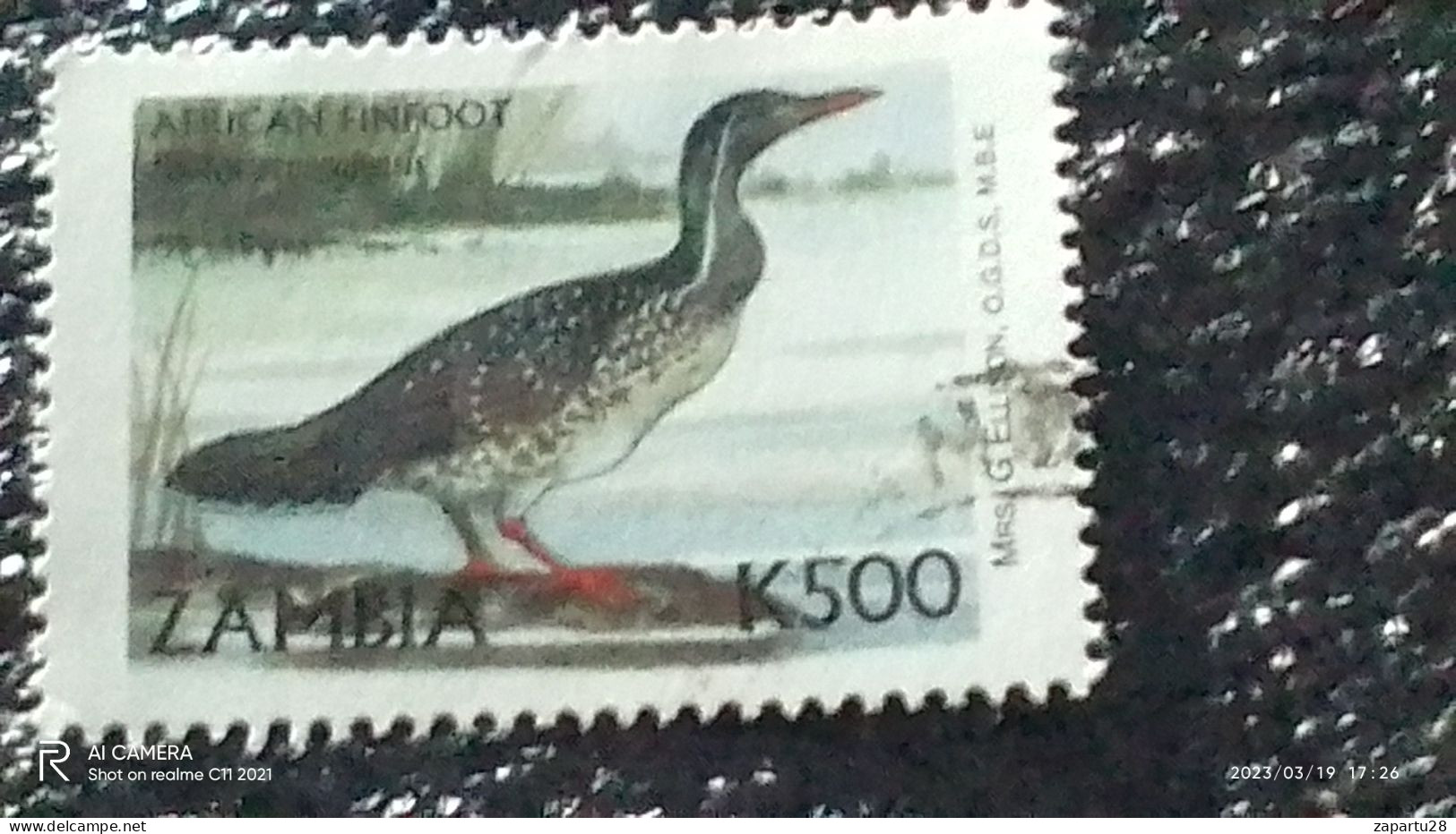ZAMBİYA-  -   500K    BİRDS   USED - Used Stamps