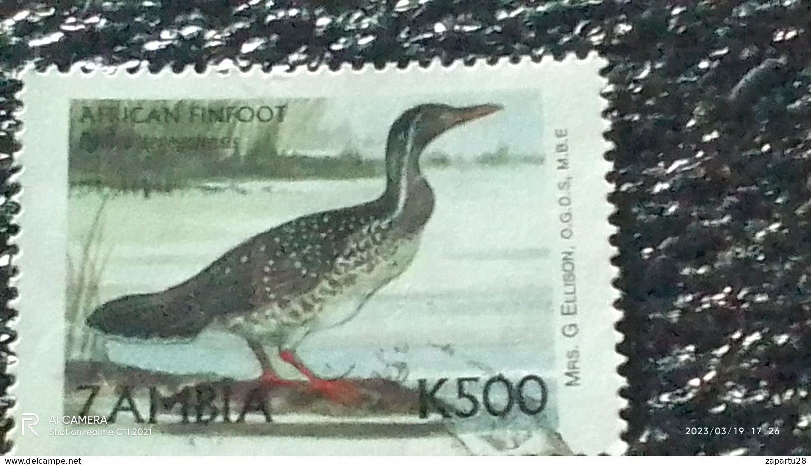 ZAMBİYA-  -   500K    BİRDS   USED - Used Stamps