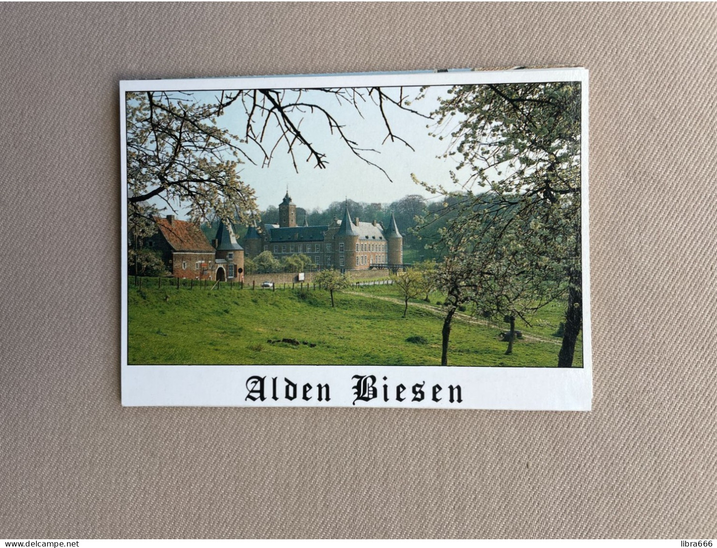 ALDEN BIESEN Landcommanderij Van De Duitse Orde In Rijkhoven - Boekje Van 6 Kaarten - Uitg. Lander, Eupen - Bilzen