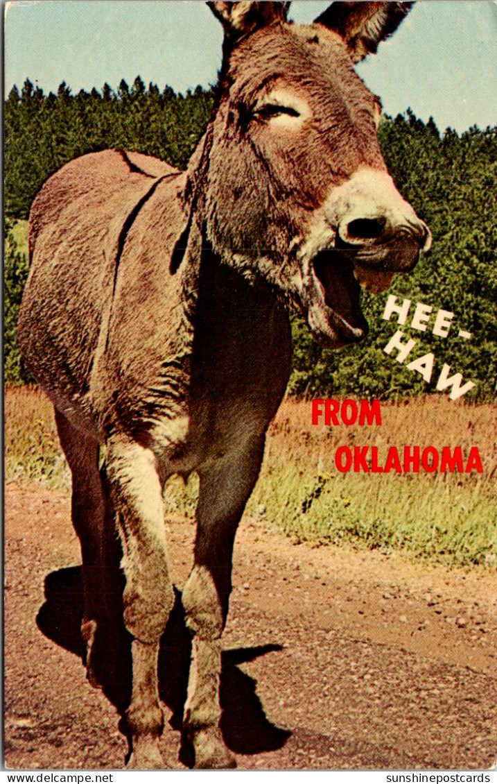 Oklahoma Donkey Hee Haw From Oklahoma - Sonstige & Ohne Zuordnung
