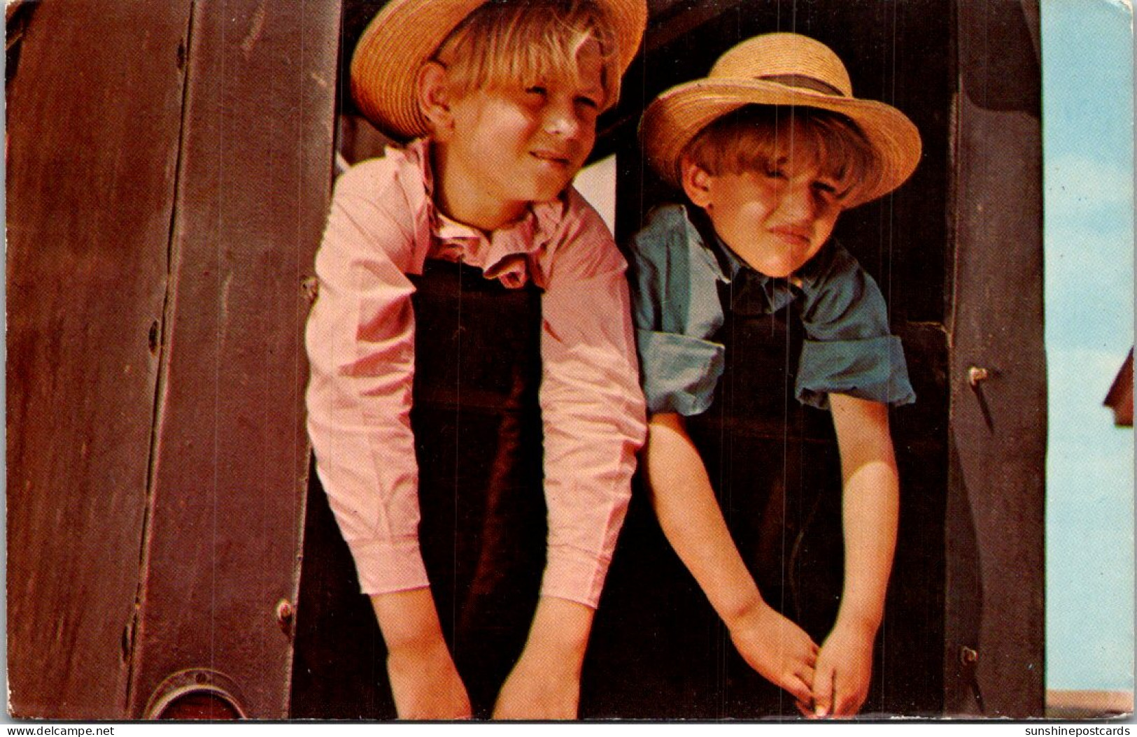 Pennsylvania Greetings From Amish Country Amish Boys Peering From Back Of Amish Buggy - Lancaster