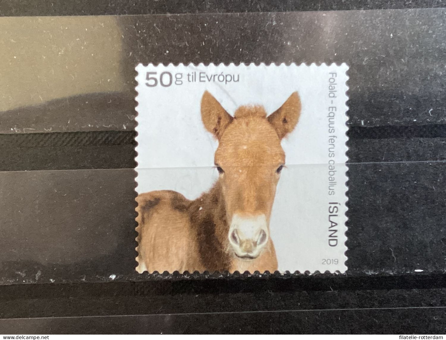 Iceland / IJsland - Farm Animals 2019 - Used Stamps