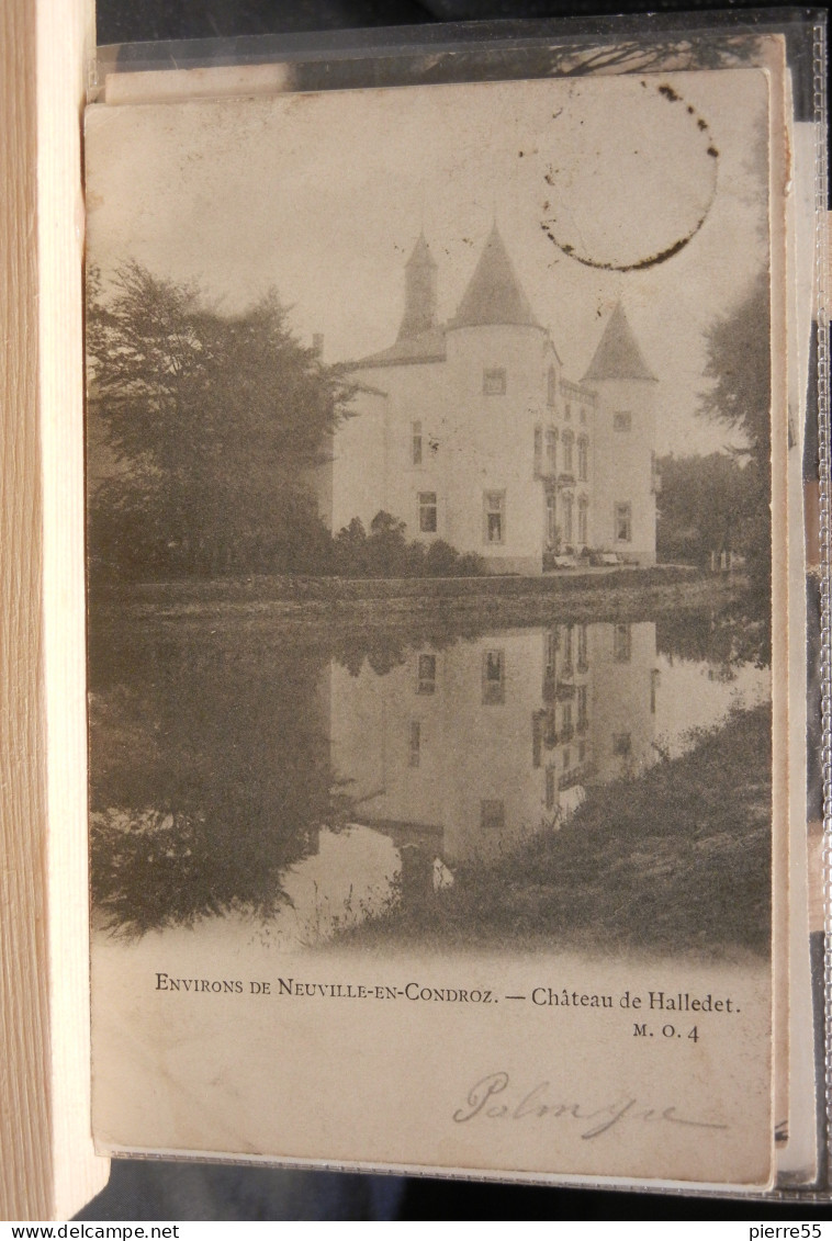 ENVIRONS DE NEUVILLE-EN-CONDROZ (NEUPRE) - CHÂTEAU DE HALLEDET - RARE BE - Neupre