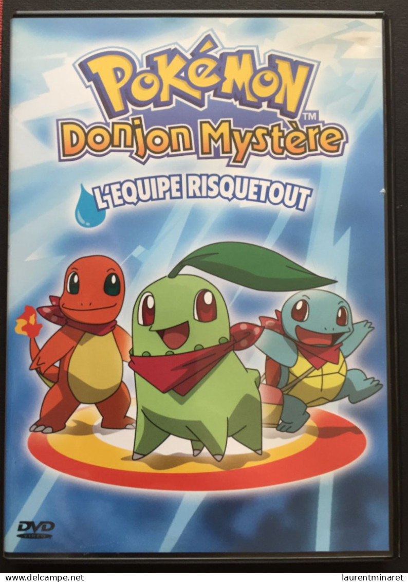 DVD / POKEMON / DONJON MYSTERE / L'EQUIPE RISQUETOUT - Dessin Animé