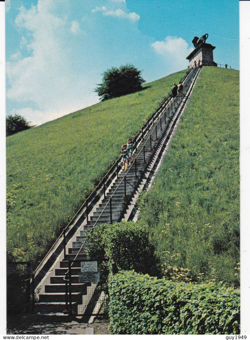 LA BUTTE LE LION ET L'ESCLIER DE 226 MARCHES - Waterloo