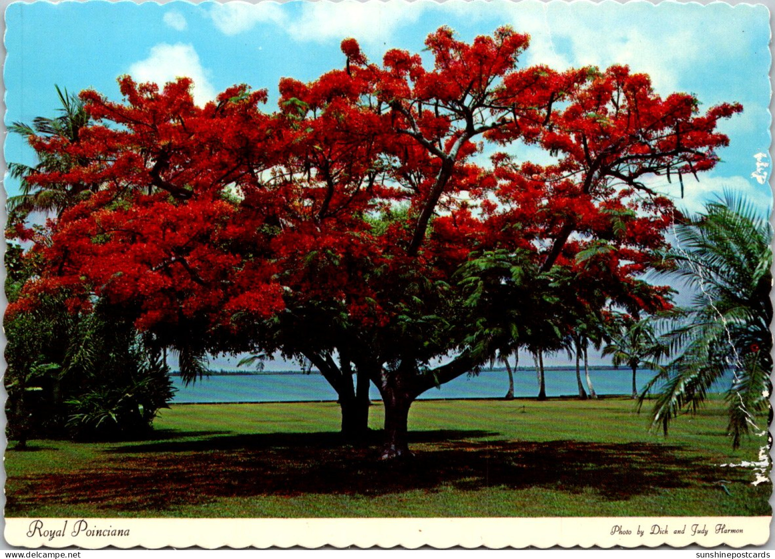 Florida Fort Myers On The Banks Of The Caloosahatchee River - Fort Myers