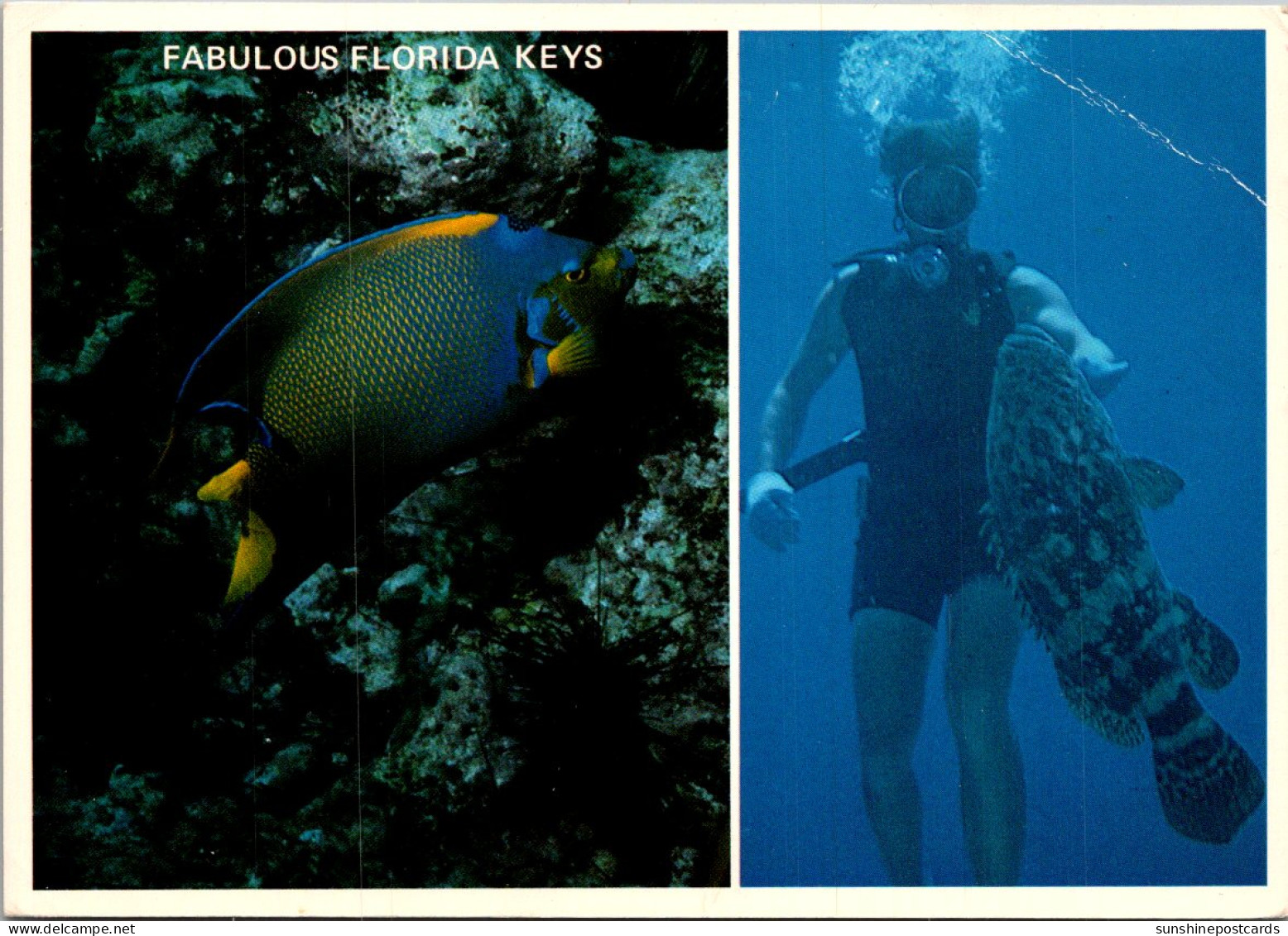 Florida Key West Snorkeling And Diving View - Key West & The Keys