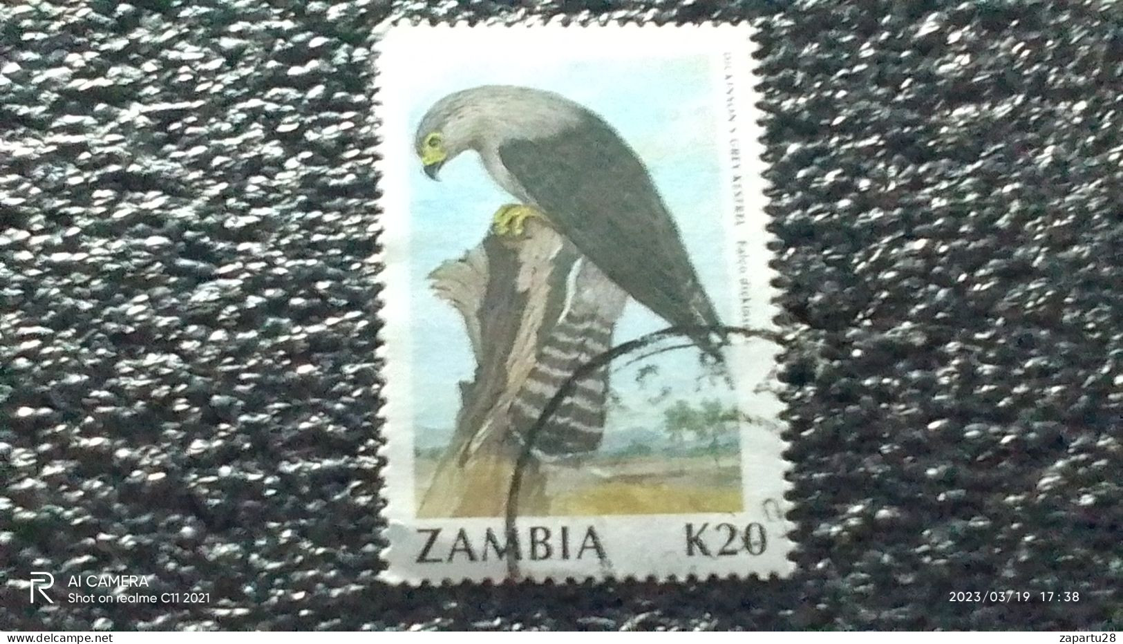 ZAMBİYA--1980-91-----      20K     BİRDS        USED- - Used Stamps