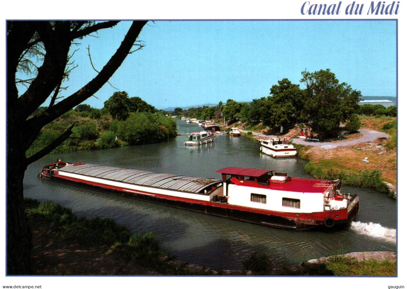 CPM - SALLELES-d'AUDE / GINESTAS - Canal Du MIDI - Port Robine (Péniche B.Plan) - Edition Apa-Poux - Salleles D'Aude