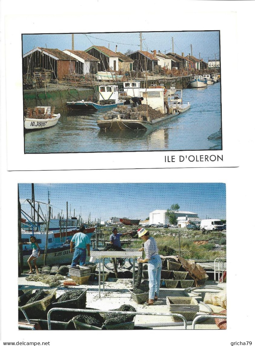 LOT DE CARTES POSTALES MODERNES - 10 CARTES CHARENTE MARITIME - Poitou-Charentes