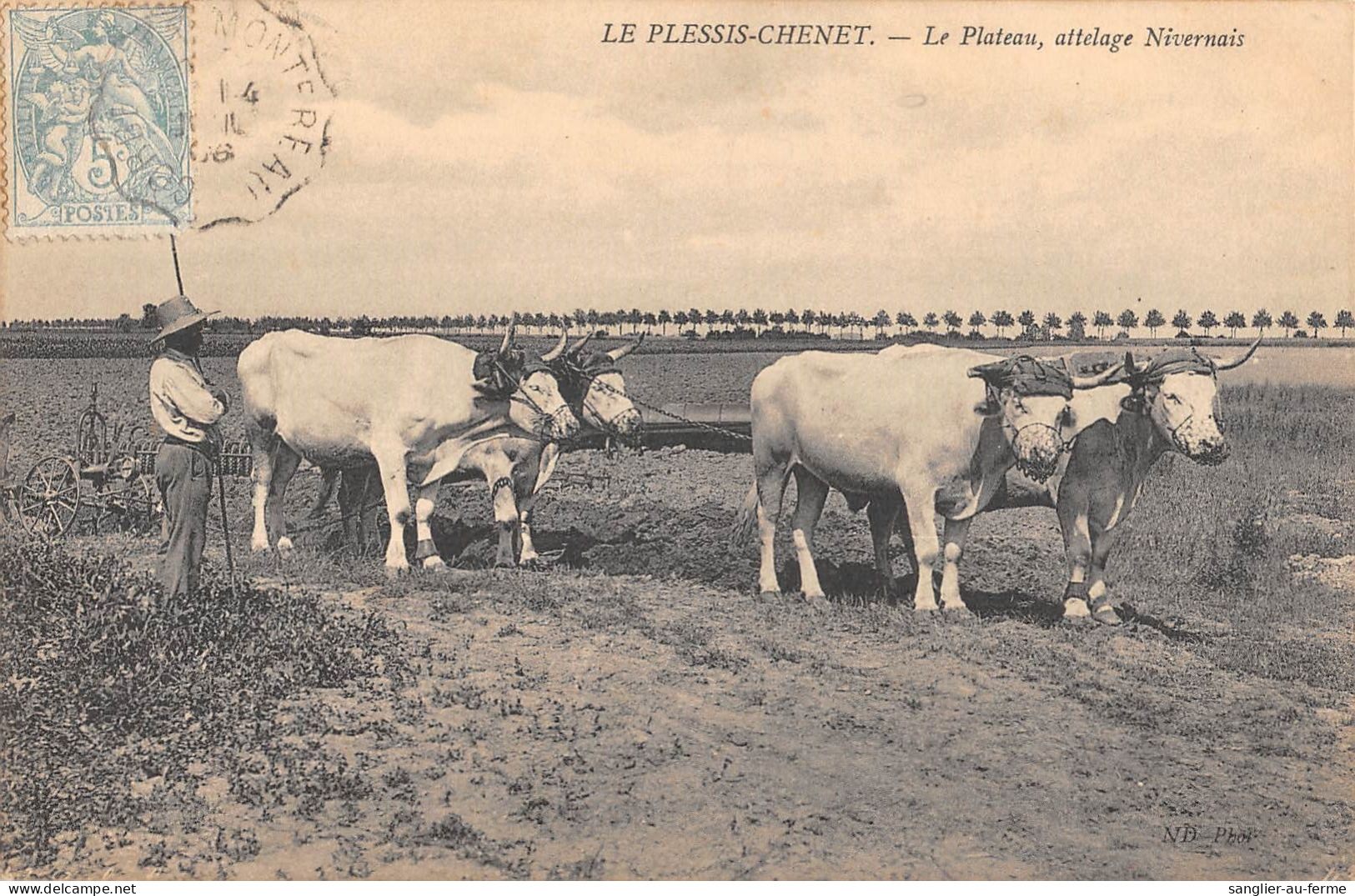 CPA 91 LE PLESSIS CHENET / ATTELAGE NIVERNAIS / SCENE D'AGRICULTURE / Cliché Rare - Andere & Zonder Classificatie