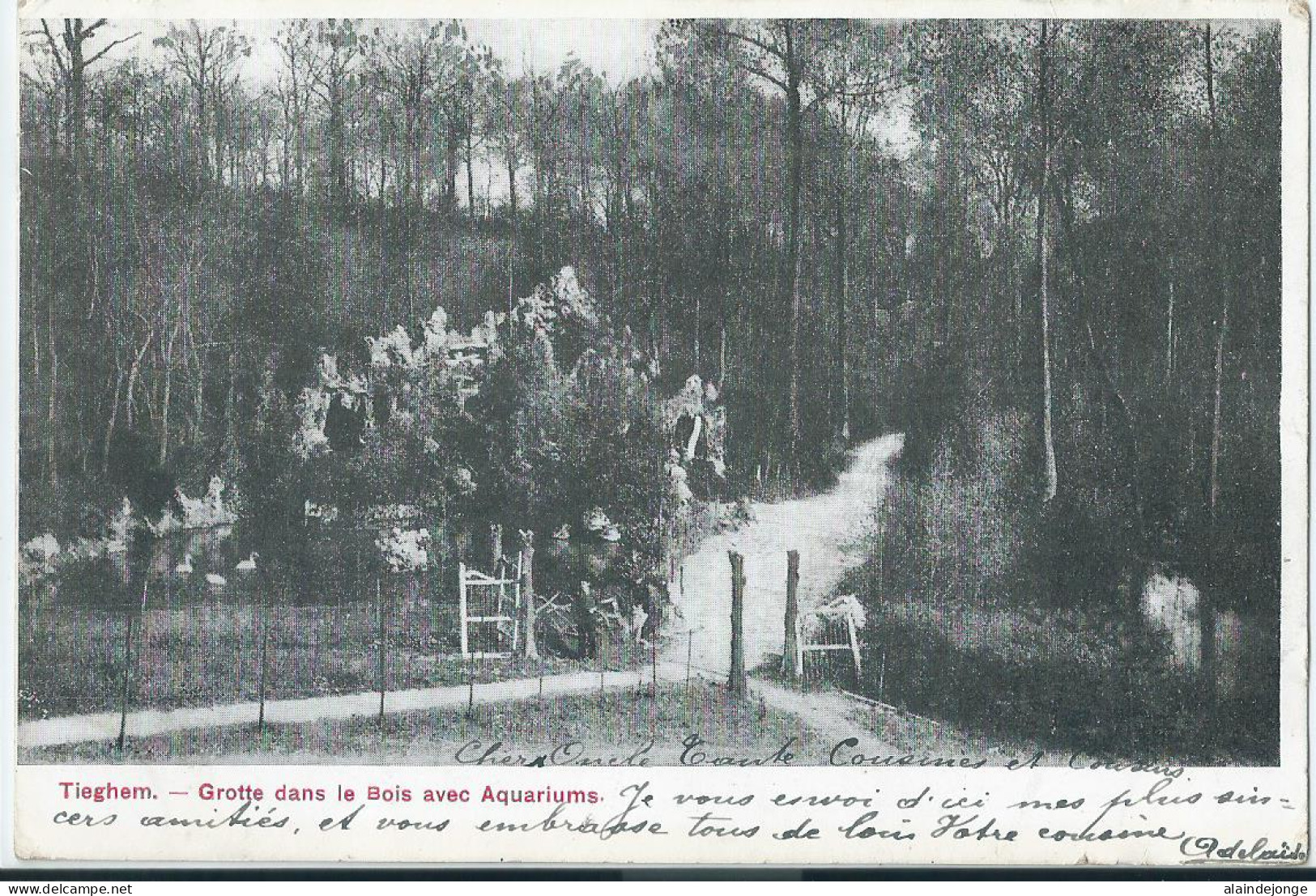 Tiegem - Tieghem - (Anzegem) - Grotte Dans Le Bois Avec Aquariums - 1906 - Anzegem