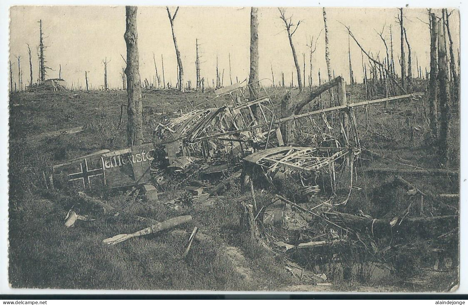 Houthulst - 1914-1918 - La Forêt D'Houthulst - Avion Allemand - 1920 - Houthulst