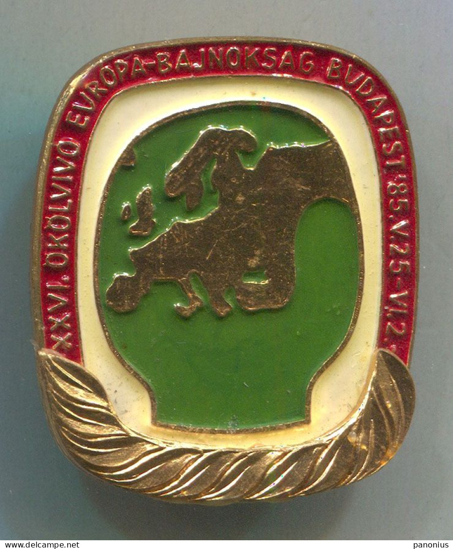 Boxing Box Boxe Pugilato - European Amateur Championship 1985, Budapest, Hungary, Vintage Pin, Badge, Abzeichen - Boxing