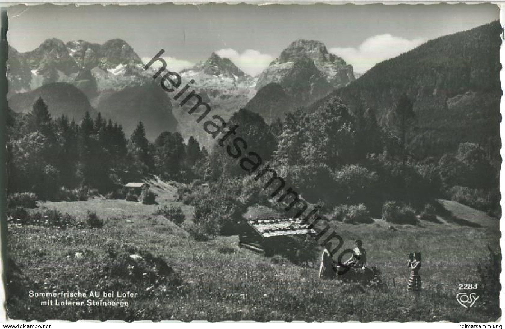 Sommerfrische Au Bei Lofer Mit Loferer Steinberge - Foto-Ansichtskarte - Verlag Alfred Gründler Salzburg - Lofer