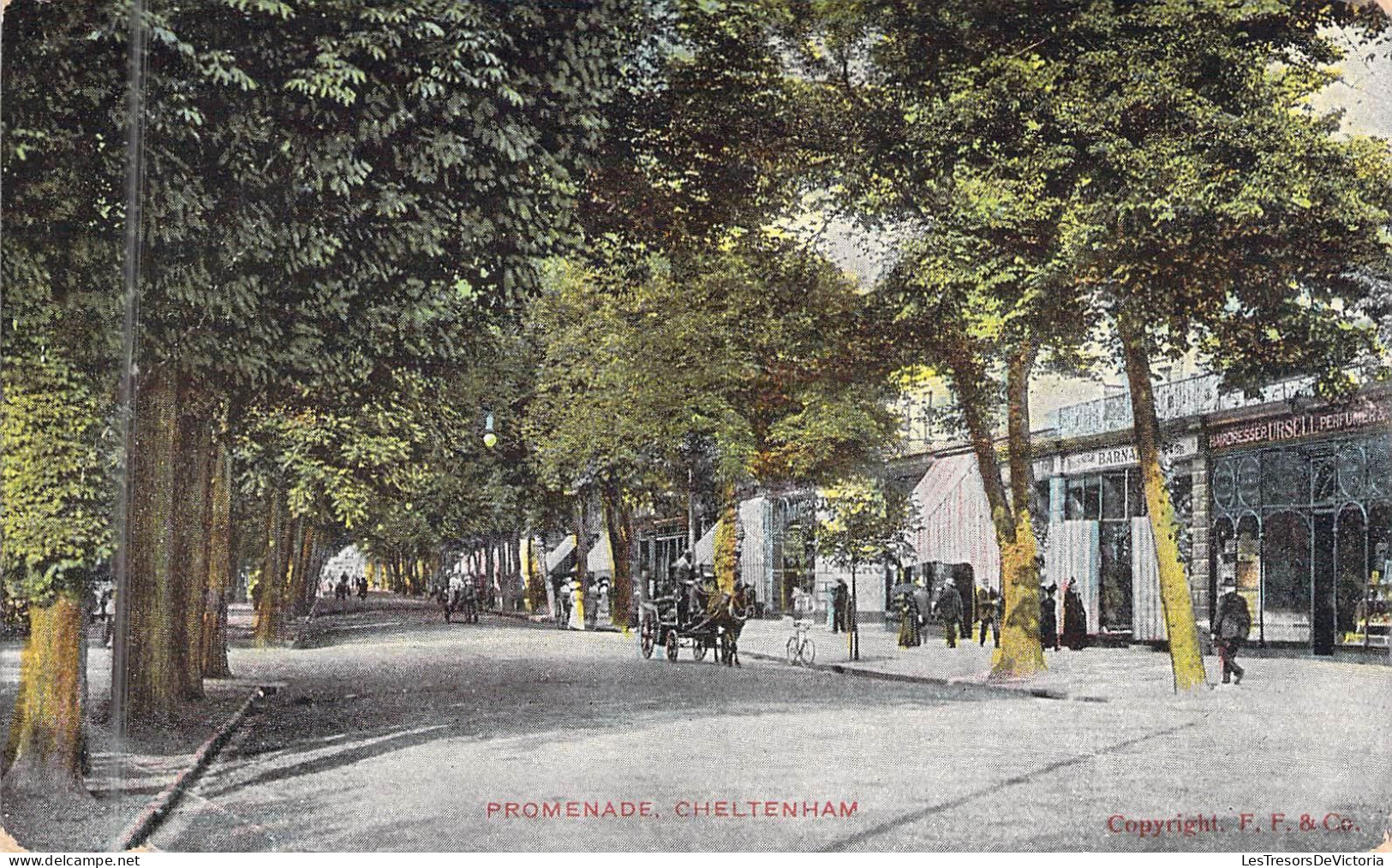 ROYAUME UNI - Promenade CHELTENHAM -  - Carte Postale Ancienne - Other & Unclassified
