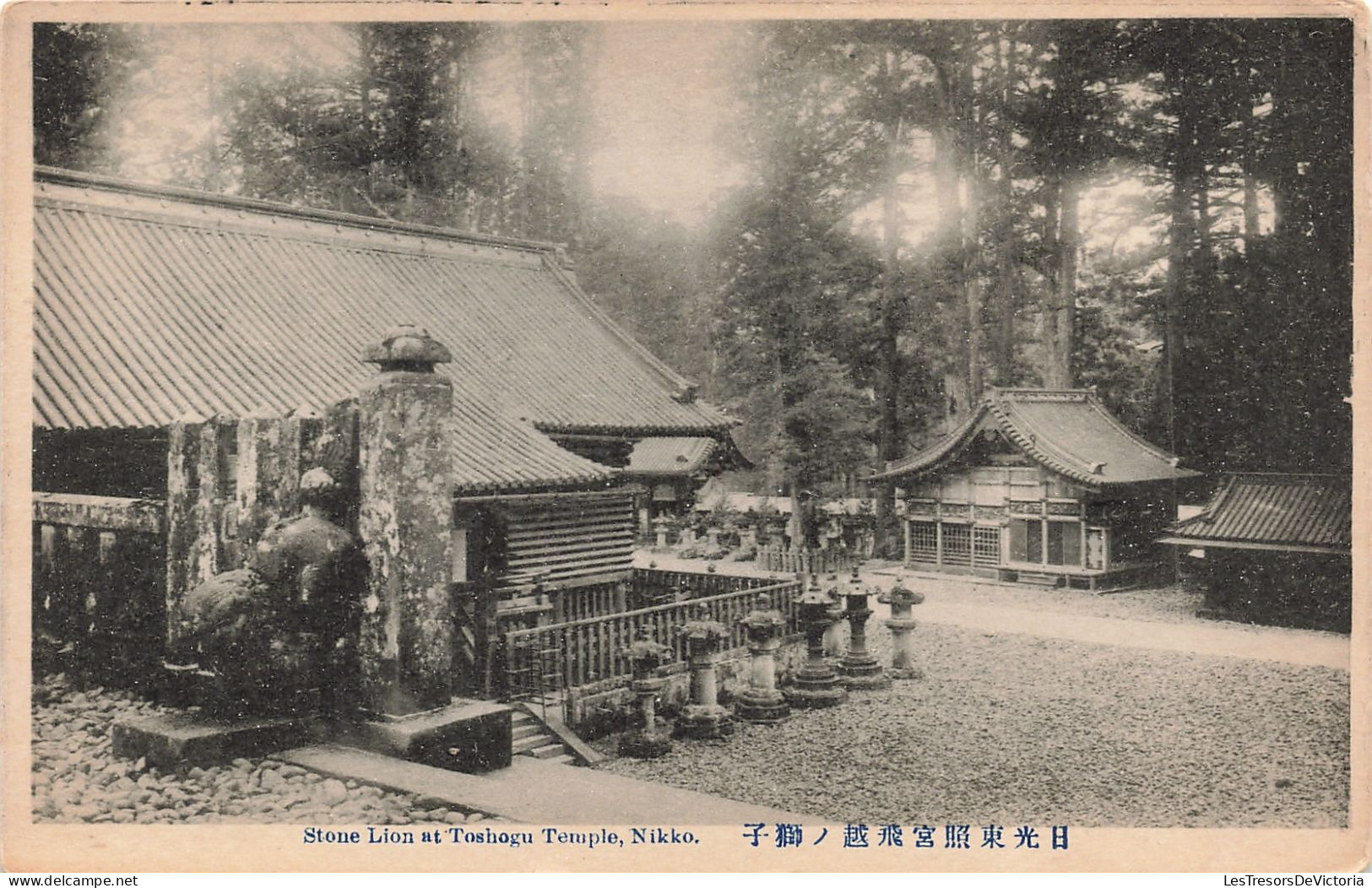 Japon - Stone Lion At Toshogu Temple - Nikko  - Carte Postale Ancienne - Kyoto