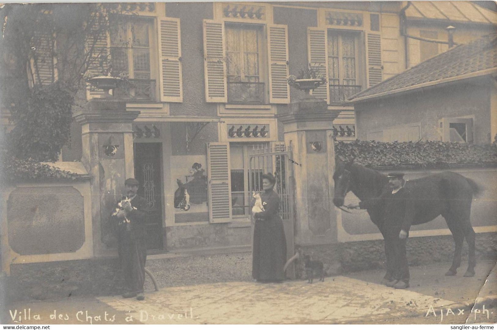 CPA 91 DRAVEIL / CARTE PHOTO / VILLA DES CHATS - Draveil