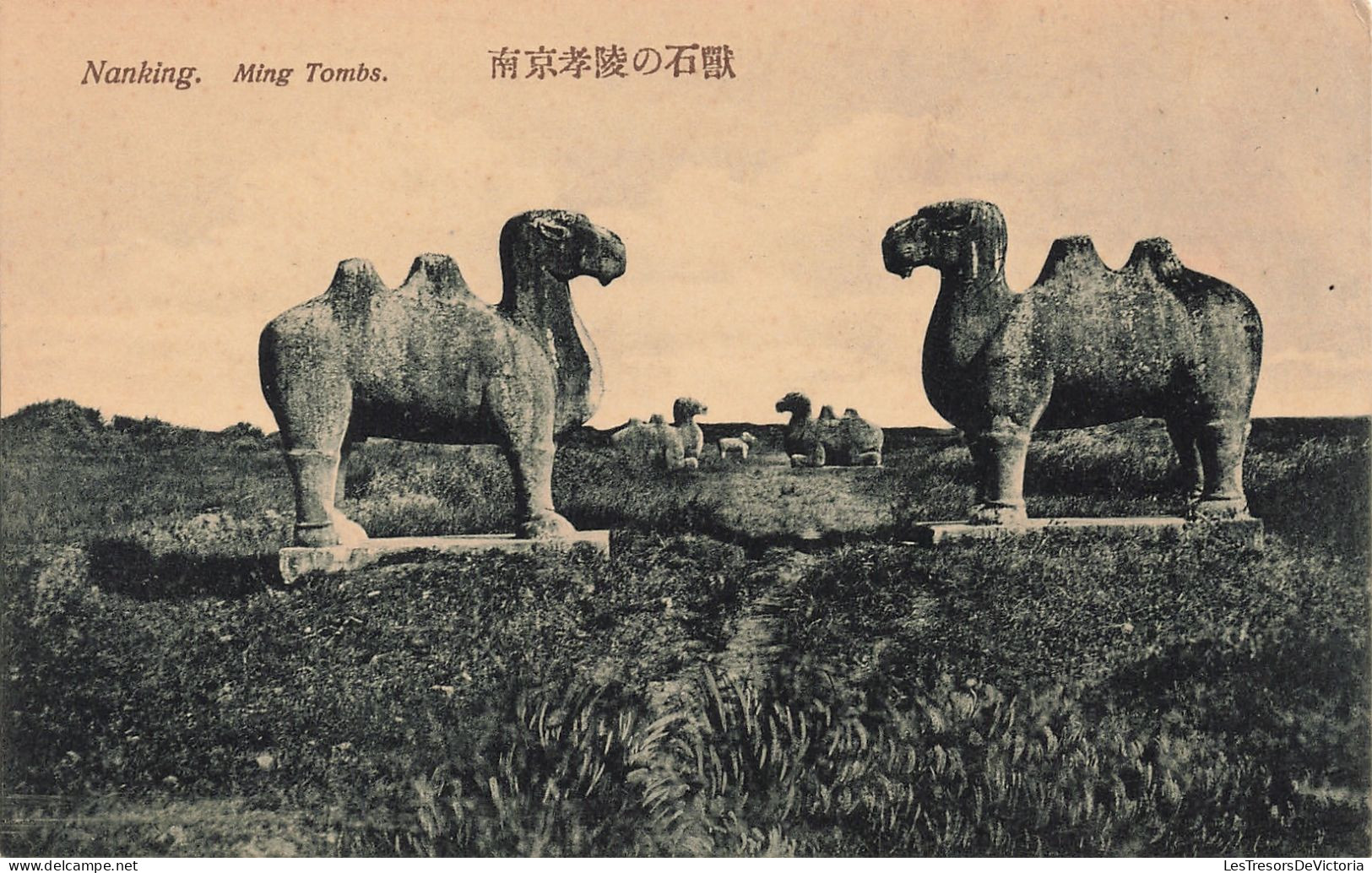 Chine - Nanking - Ming Tombs - Edit. Platin  - Carte Postale Ancienne - Chine