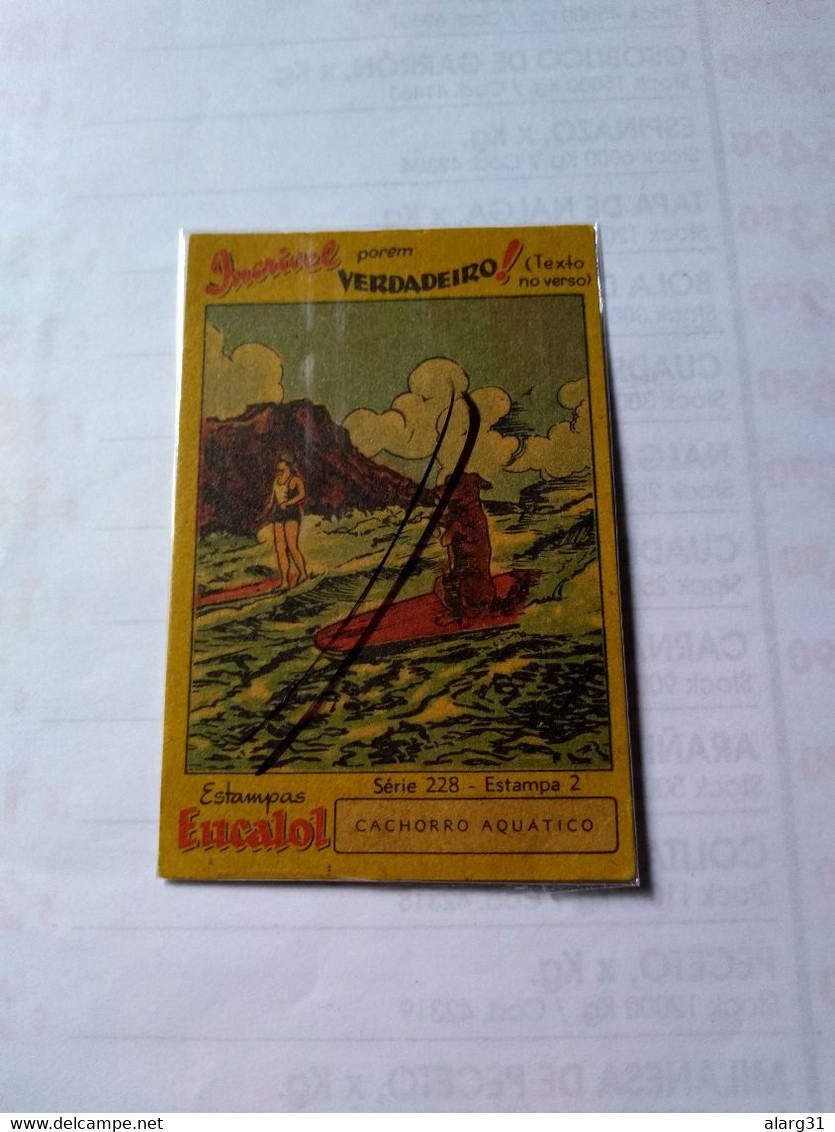 Cromo No Postcard.believe It Or Not Series.1940. Eucalol Soap Cromo.skateboard Dog.night Hawk.he Liked Even Rough ..sea - Skateboard