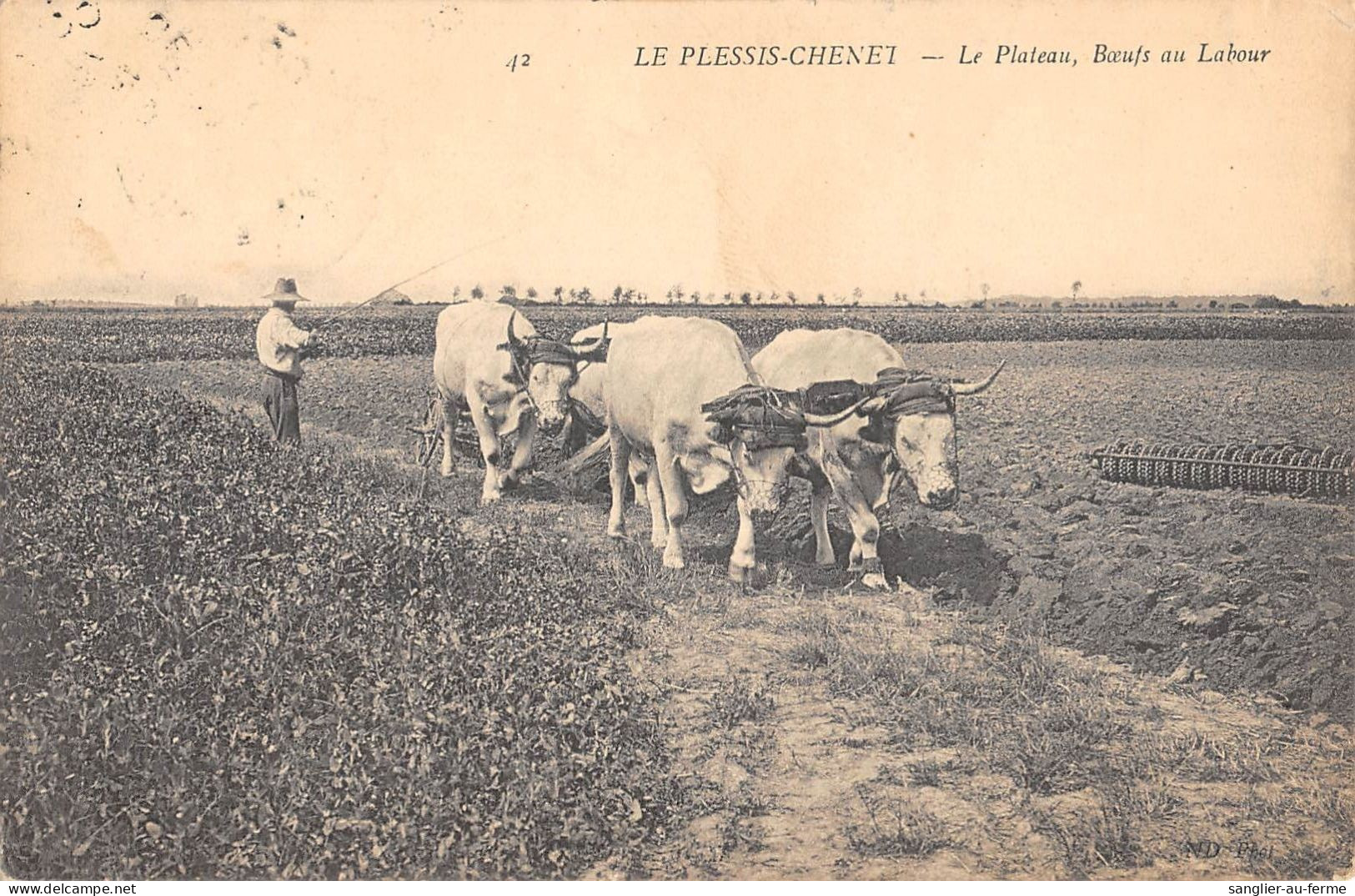 CPA 91 LE PLESSIS CHENET / LE PLATEAU / BOEUFS AU LABOUR / SCENE D'AGRICULTURE - Andere & Zonder Classificatie