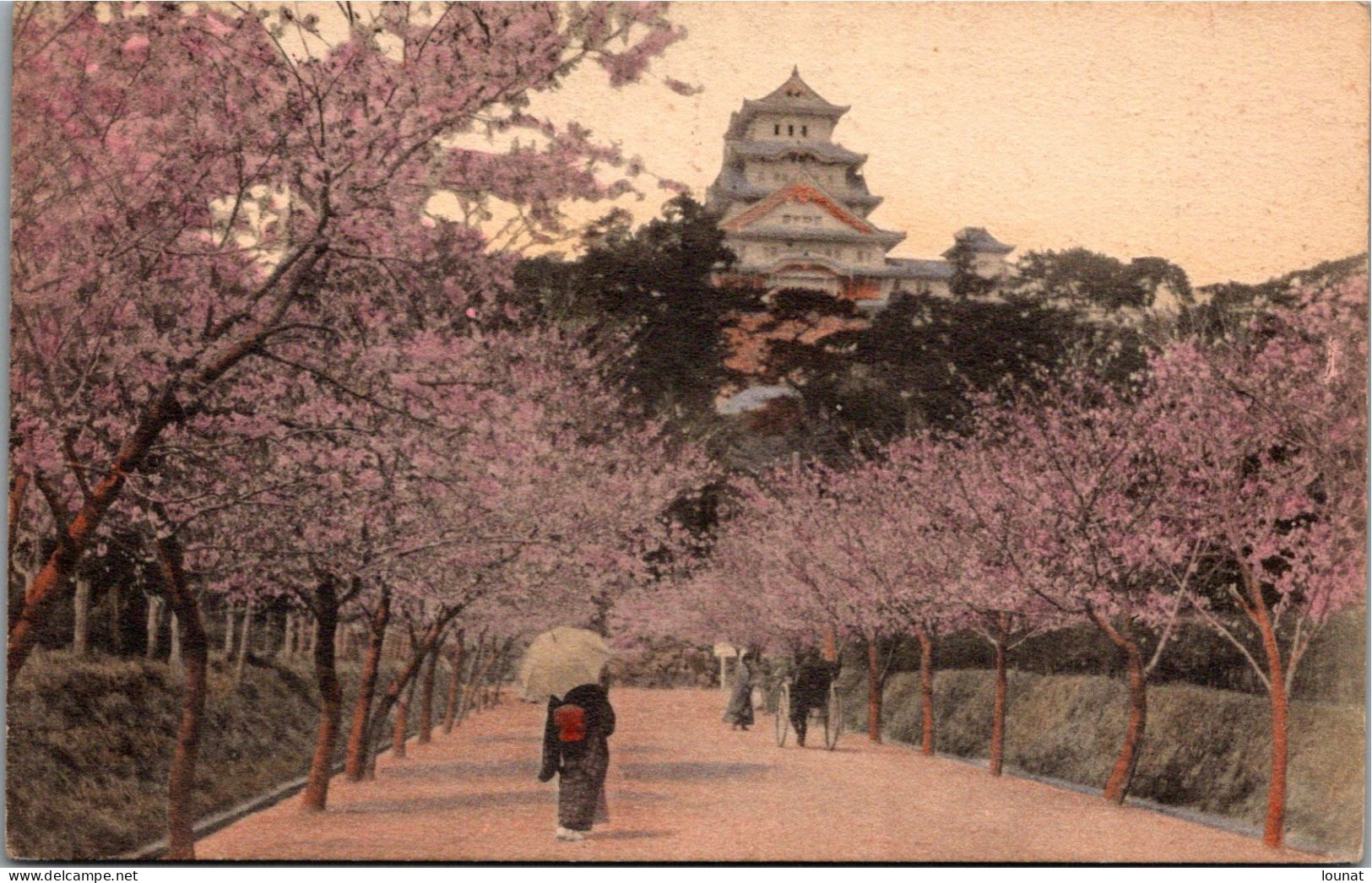 JAPON - HIMEJI Castle Near KOBE In CHERRY Blossoms. - Kobe