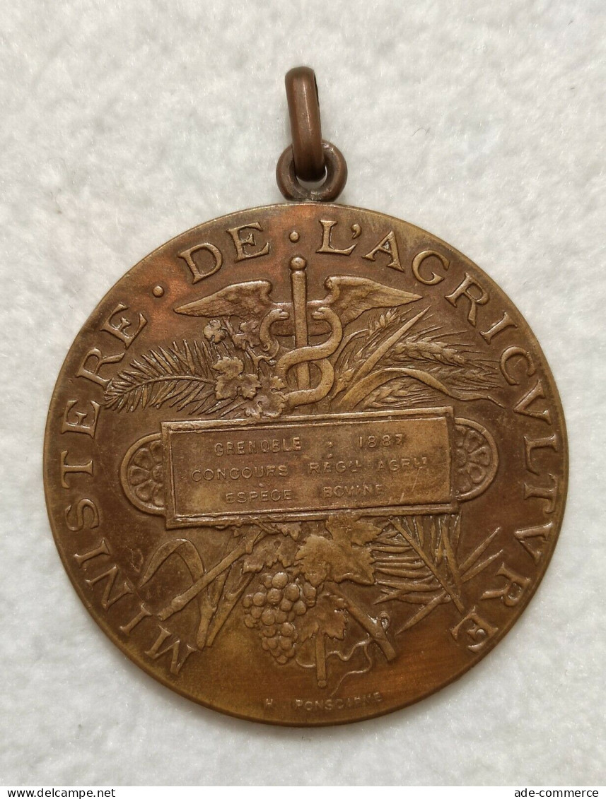 Medaglia - Medaille Ministère Agriculture - Grenoble 1887 - Concours Bovine 50mm - Altri & Non Classificati