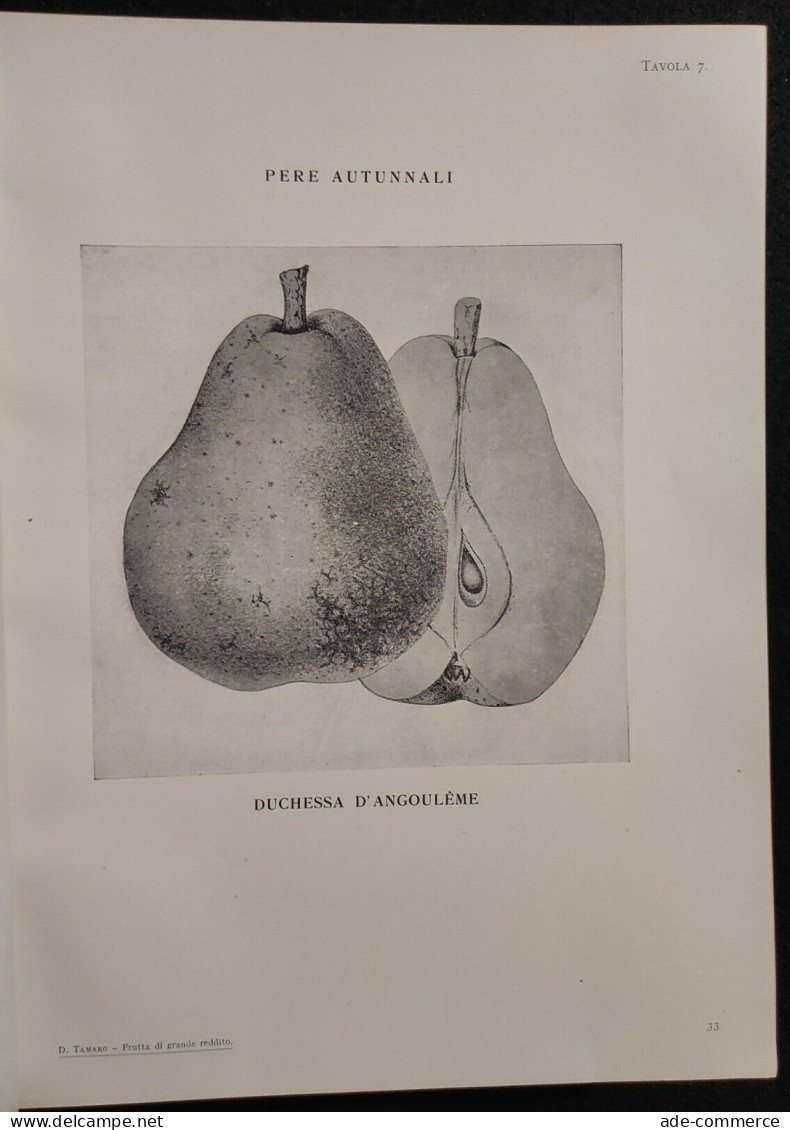 Frutta di Grande Reddito - Frutticoltura - D. Tamaro - Hoepli - 1935 - Manuale