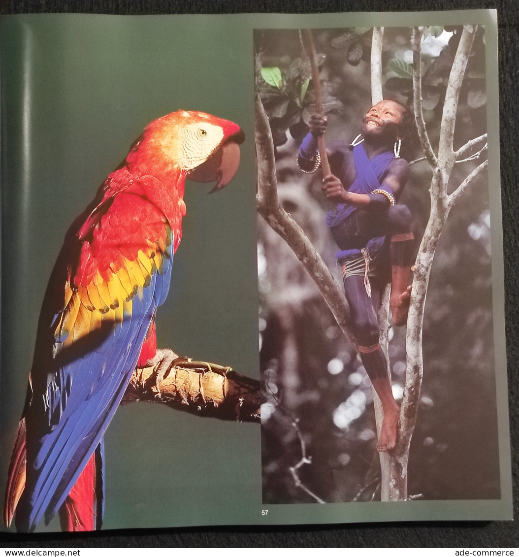 Museu Aberto Do Descobrimento - O Brasil Renasce Onde Nasce - 1994 - Fotografie