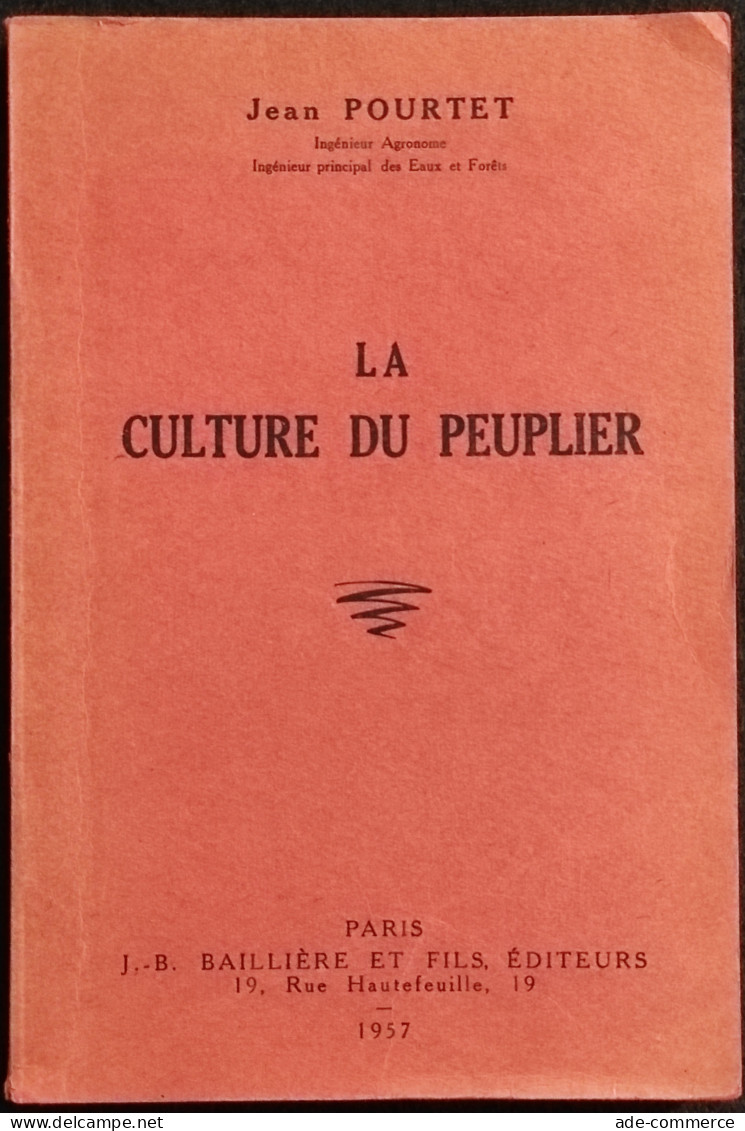 La Culture Du Peuplier - J. Pourtet - Ed.  J.B. Bailliere - 1957 - Giardinaggio