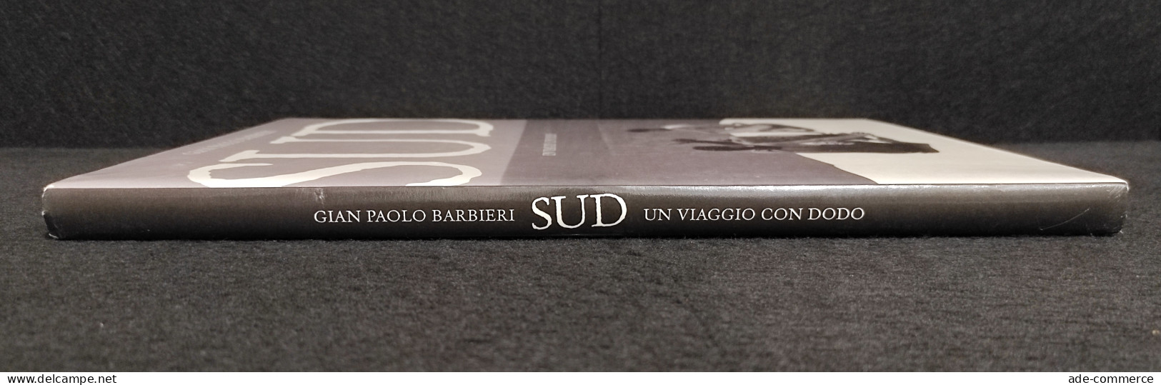 Sud - Un Viaggio Con Dodo - G. P. Barbieri - 2006 - Fotografia - Fotografia