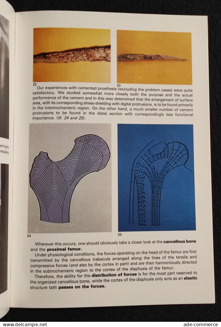 The Stem CLS - Theory And Experimental Principles Clinical Aspects - Médecine, Psychologie