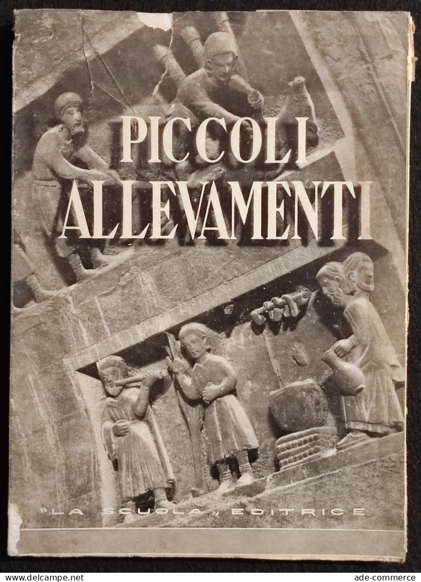 Piccoli Allevamenti - T. M. Bettini - La Scuola Ed. - 1942 - Animali Da Compagnia